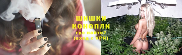 спиды Бородино