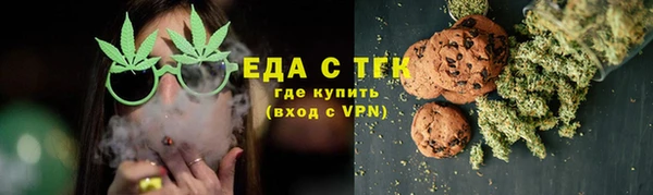 спиды Бородино