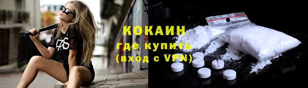 спиды Бородино
