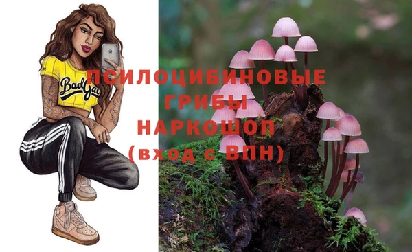 a pvp Бронницы